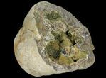 Yellow Crystal Filled Septarian Geode - Utah #98389-2